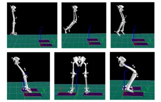 Jump Landing Analysis 02